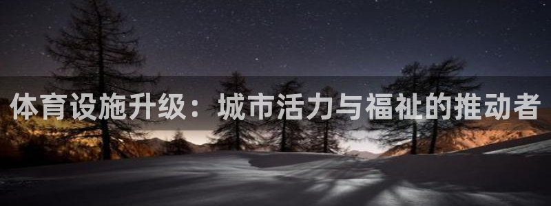 意昂体育4：体育设施升级：城市活力与福祉的推动者