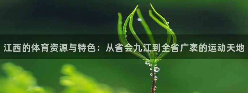 意昂4娱乐首页网站大全：江西的体育资源与特色：从省会