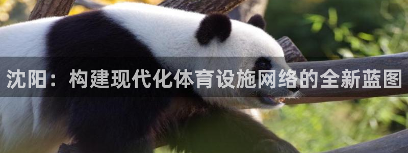 意昂平台体育：沈阳：构建现代化体育设施网络的全新蓝图