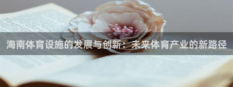 意昂4集团E.ON：海南体育设施的发展与创新：未来体