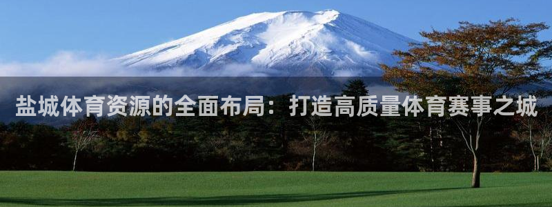 意昂4五金厂：盐城体育资源的全面布局：打造高质量体育