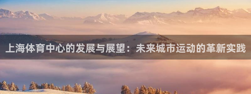 意昂体育4平台注册要钱吗：上海体育中心的发展与展望：