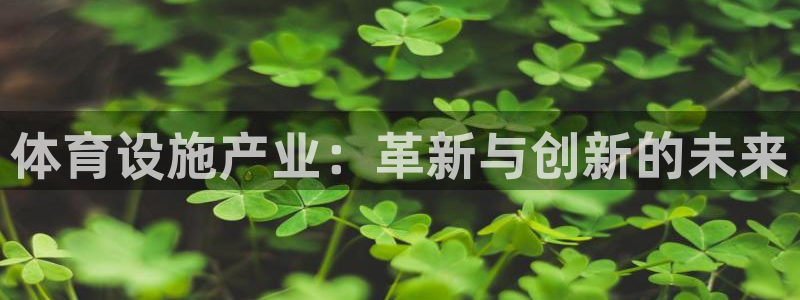 意昂体育4平台是正规平台吗：体育设施产业：革新与创新的未来