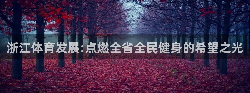 意昂体育4招商电话号码是多少啊：浙江体育发展:点燃全