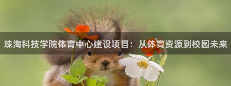 意昂体育4平台假的吗是真的吗吗：珠海科技学院体育中心