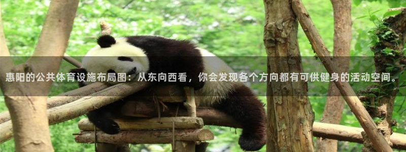 意昂4娱乐代理怎么样：惠阳的公共体育设施布局图：从东