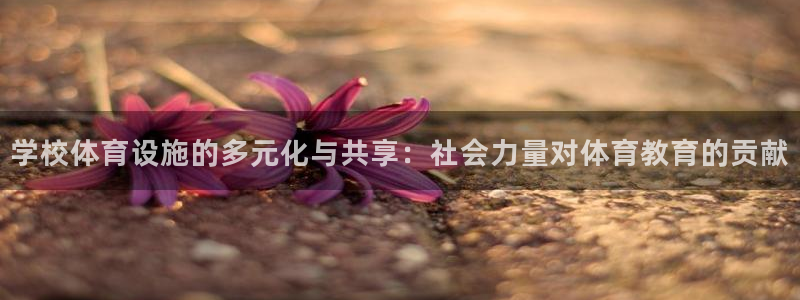 意昂体育4招商电话号码查询是多少：学校体育设施的多元化与共享