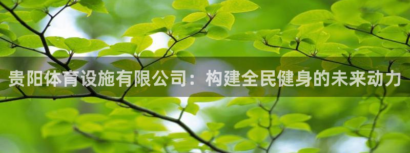意昂4集团：贵阳体育设施有限公司：构建全民健身的未来动力