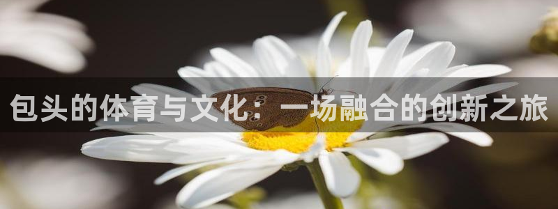 意昂体育4招商电话是多少号码：包头的体育与文化：一场融合的创 