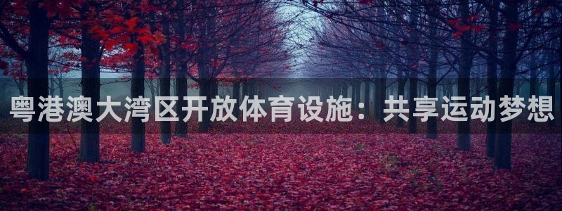 意昂4集团简介：粤港澳大湾区开放体育设施：共享运动梦想