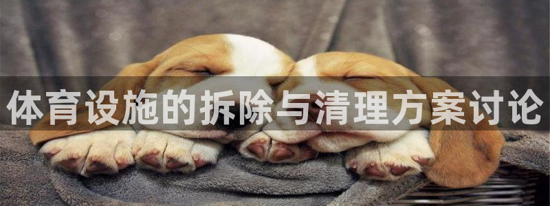 意昂4新能源：体育设施的拆除与清理方案讨论