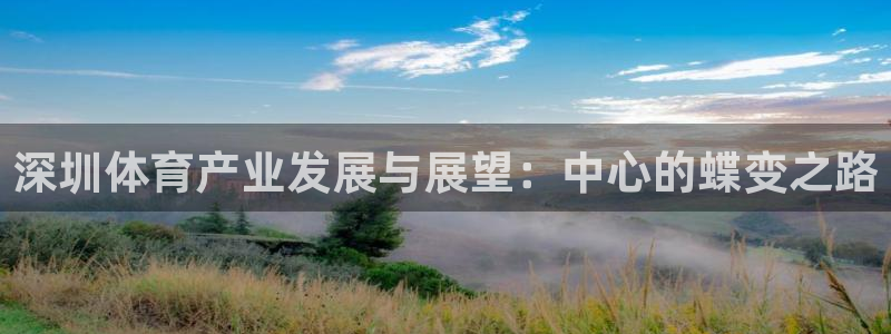 意昂4娱乐首页官网下载：深圳体育产业发展与展望：中心