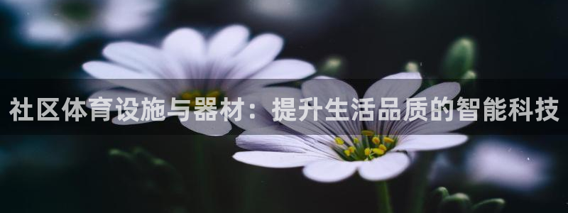 意昂体育4平台是正规平台吗知乎：社区体育设施与器材：