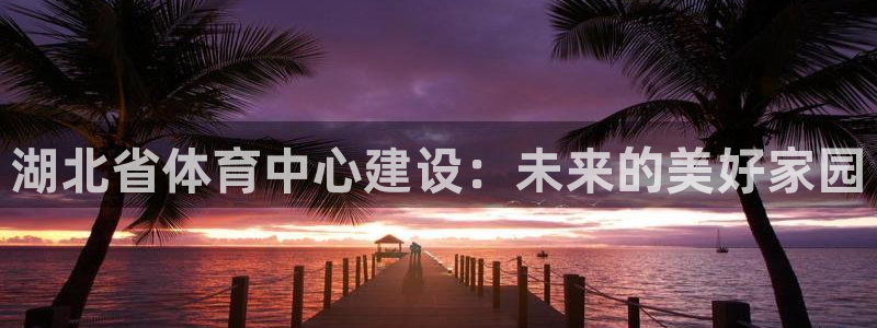 意昂体育4平台是正规平台吗：湖北省体育中心建设：未来