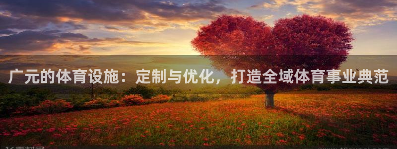 意昂4科技：广元的体育设施：定制与优化，打造全域体育