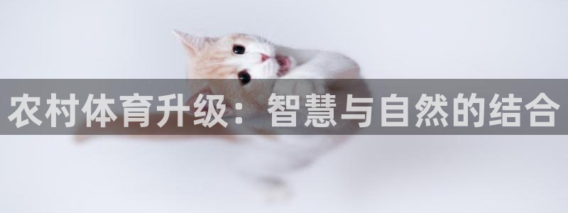 意昂体育4平台注册流程图：农村体育升级：智慧与自然的