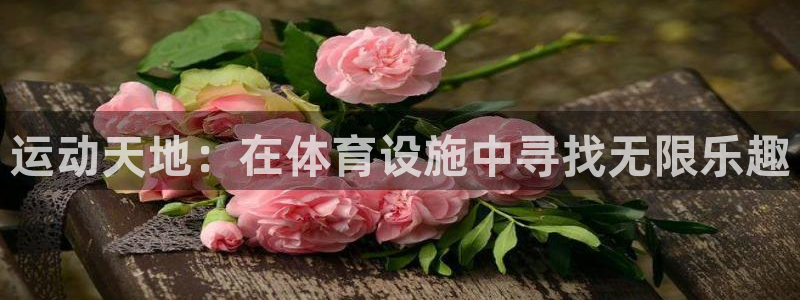意昂4集团官网网址：运动天地：在体育设施中寻找无限乐