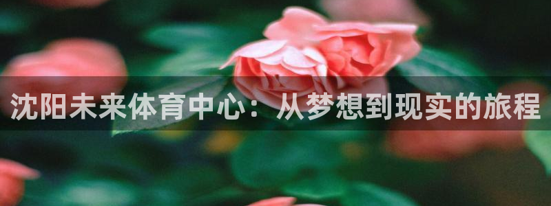 意昂体育4是干嘛的公司：沈阳未来体育中心：从梦想到现