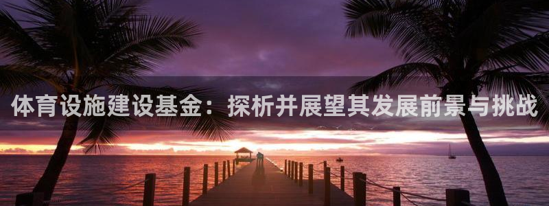 海南意昂体育4发展怎么样：体育设施建设基金：探析并展