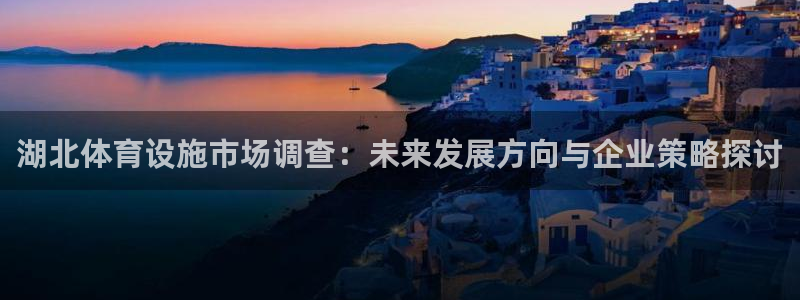 德国意昂4集团：湖北体育设施市场调查：未来发展方向与