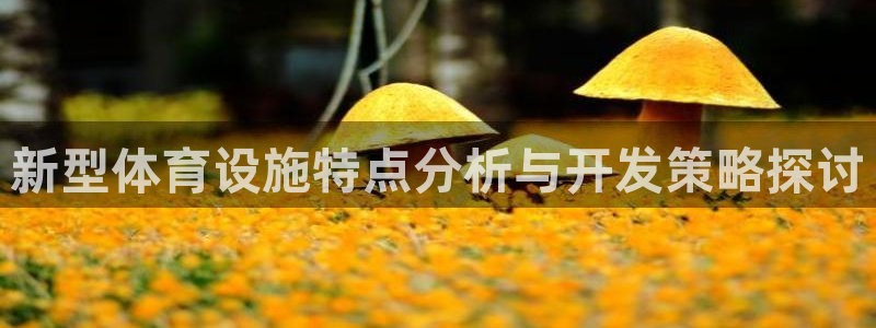 意昂4集团官网首页网址：新型体育设施特点分析与开发策