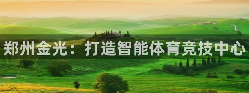意昂4开户：郑州金光：打造智能体育竞技中心
