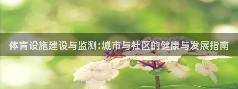 意昂4集团E.ON：体育设施建设与监测:城市与社区的