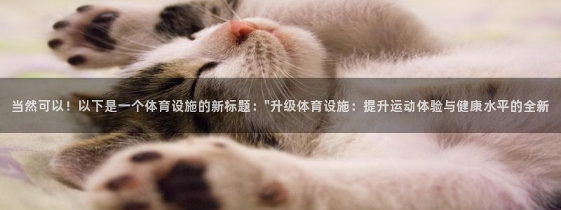 意昂4集团官网首页网址：当然可以！以下是一个体育设施