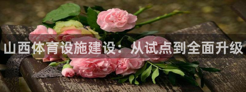 海南意昂体育4：山西体育设施建设：从试点到全面升级