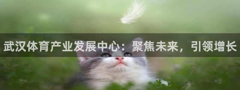 意昂体育4招商电话号码是多少号：武汉体育产业发展中心