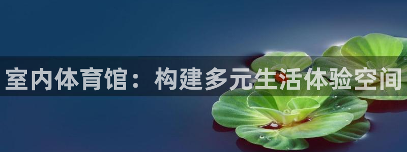 海南意昂体育4