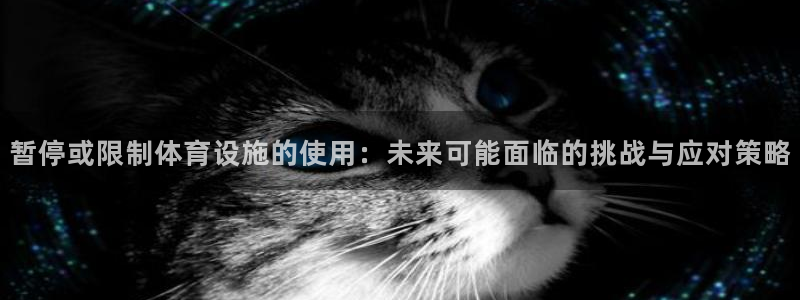 意昂4五金厂：暂停或限制体育设施的使用：未来可能面临的挑战与