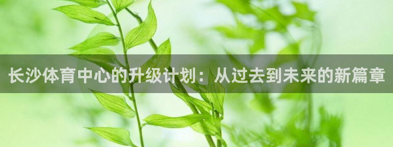 意昂体育4平台：长沙体育中心的升级计划：从过去到未来的新篇章