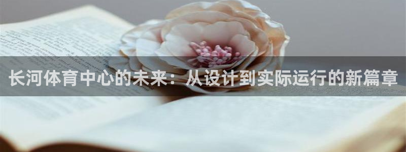 意昂体育4平台注册要钱吗安全吗：长河体育中心的未来：从设计到 